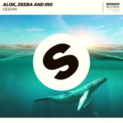 Ocean - Alok, Zeeba & IRO