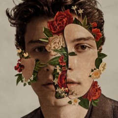 Fallin' All In You - Shawn Mendes