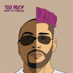 Too Much - Zayn feat. Timbaland