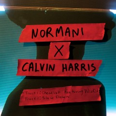 Slow Down - Normani & Calvin Harris