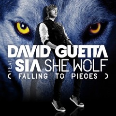 She Wolf (Falling To Pieces) - David Guetta feat. Sia