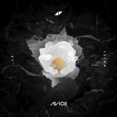 Without You - Avicii feat. Sandro Cavazza
