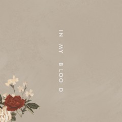 In My Blood - Shawn Mendes