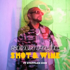 Shot And Wine - Sean Paul feat. Stefflon Don