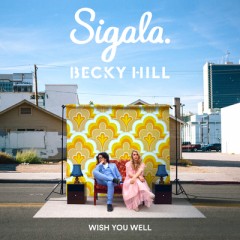 Wish You Well - Sigala & Becky Hill