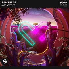 Post Malone - Sam Feldt feat. Rani