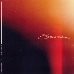 Senorita - Shawn Mendes & Camila Cabello