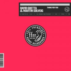 Thing For You - David Guetta & Martin Solveig