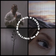 Calling On Me - Sean Paul & Tove Lo