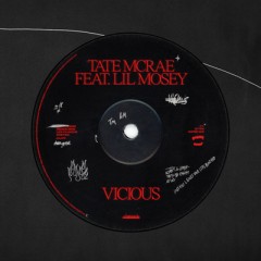 Vicious - Tate McRae feat. Lil Mosey