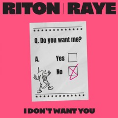 I Don't Want You - Riton & RAYE