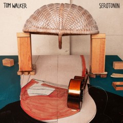 Serotonin - Tom Walker