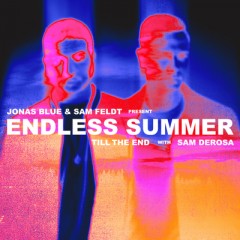 Till The End - Jonas Blue & Sam Feldt