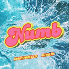 Numb - Marshmello feat. Khalid