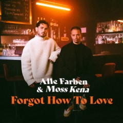 Forgot How To Love - Alle Farben feat. Moss Kena