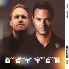 Better - Sam Feldt & Gavin James