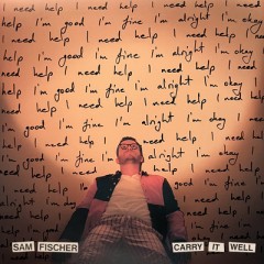 Carry It Well - Sam Fischer