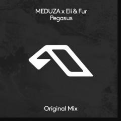 Pegasus - MEDUZA feat. Eli & Fur