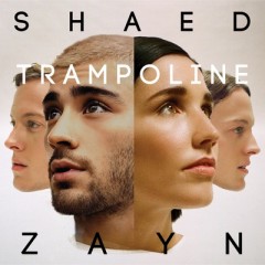 Trampoline - SHAED & ZAYN