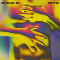 Where You Want - Riton & David Guetta feat. Jozzy