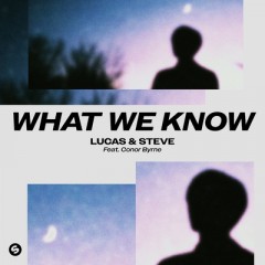 What We Know - Lucas & Steve feat. Conor Byrne
