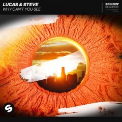 Why Can't You See - Lucas & Steve