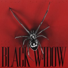 Black Widow - Alok, Kickbait & Ceres