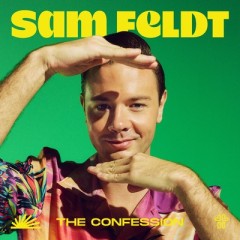 The Confession - Sam Feldt