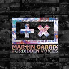 Forbidden Voices - Martin Garrix
