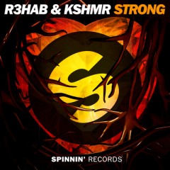 Strong - R3hab & Kshmr