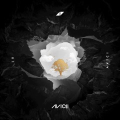 What Would I Change It To - Avicii feat. Aluna George