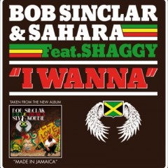 I Wanna - Bob Sinclar & Sahara feat. Shaggy