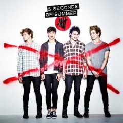 Everything I Didn't Say - 5 Seconds Of Summer