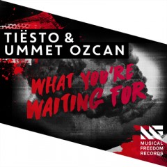What You're Waiting For - Tiesto & Ummet Ozcan